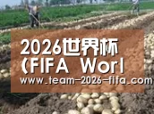 种植基地八