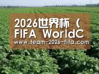 种植基地五(图1)