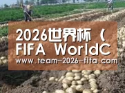 种植基地七(图1)