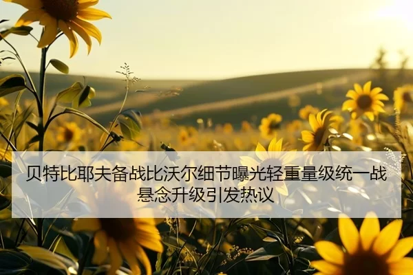 贝特比耶夫备战比沃尔细节曝光轻重量级统一战悬念升级引发热议